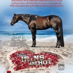 These Irons Are Hot February Ad - NSBA Foundation